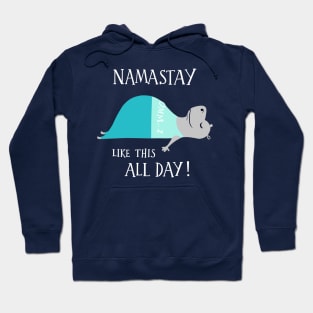 Namastay Like This All Day - cute funny yoga hippo Hoodie